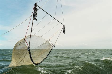 fishing with a seine net :: Ships At Sea General Discussions.